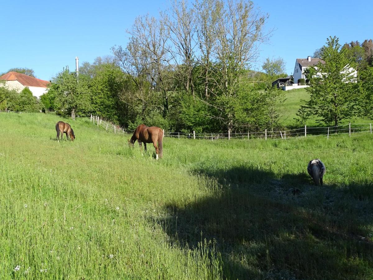 Ferien Auf Dem Land Lejlighed Warstein Eksteriør billede